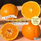 ふるさと納税 西予市 【先行受付】<旬をお届け!季節の柑橘 2回定期便(温州みかん約3kg・ポンカン約3kg)>ミカン ぽ