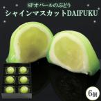 SPオパールのぶどう シャインマスカット
