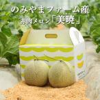 ショッピングふるさと納税 メロン ふるさと納税 三笠市 2026年分受付中 数量限定のみやまファームの赤肉メロン美暁(各1.6kg以上を2玉)【01167】