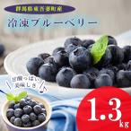冷凍ブルーベリー 約1.3kg