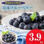 冷凍ブルーベリー 約3.9kg