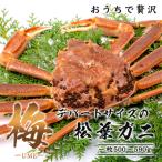 極選松葉ガニ ボイル 500g級 ブランドタグ付