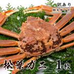 松葉ガニ ボイル 800g級 特大サイズ