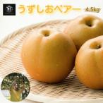 旬の品種をお届け うずしおペアー 4.5kg