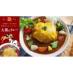 太陽のカレー 500g