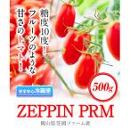 ZEPPIN PRM プレミアム 500g