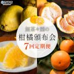 無茶々園の柑橘頒布会 全7回