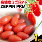 ZEPPIN PRM プレミアム 1kg