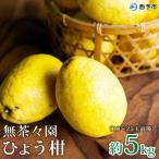 フルーツ 果物 蜜柑 柑橘 ひょうかん 弓削瓢柑