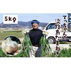 てっちゃんの淡路島たまねぎ5kg メディアに引っ張りだこの…