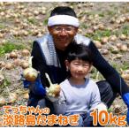 てっちゃんの淡路島たまねぎ10kg メディアに引っ張りだこの…