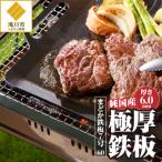 まどか鉄板7号 60-