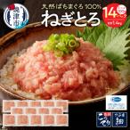 焼津の天然まぐろたたき 鉢100%ねぎとろ