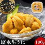 ふるさと納税 羽幌町 2026年先行受付!北海道産 塩水ウニ 100g 【6月上旬から8月中旬発送予定】【0211702】
