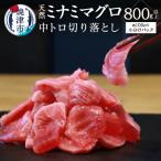 キボシ水産 天然 南鮪 100% 中トロ 切り落とし 800g以上