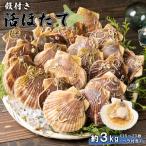 ふるさと納税 羽幌町 【受付開始!】北海道羽幌町産 殻付き活ホタテ 約3kg(15〜20枚・ヘラ付き)【0910203】