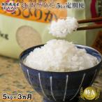 特別栽培米 ゆめぴりか5kg