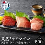 キボシ水産 天然 南鮪 大トロ 中トロ 赤身食べ比べ 約500g