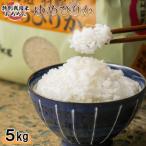 ふるさと納税 羽幌町 