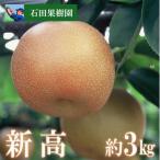 ふるさと納税 福島市 梨 新高 3kg【2025年発送】No.2738