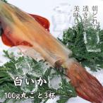 白いか丸ごと 100g×3杯セット