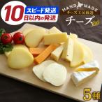 ふるさと納税 浜中町 10日以内に発送!!《人気No1》定番の手造りナチュラルチーズ詰め合わせ_010302-01