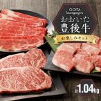 牛肉 焼肉 バーベキュー 豊後牛 お楽しみセット