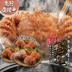 ふるさと納税 新ひだか町 <2026年2月中旬より発送> 訳あり 北海道産浜ゆで毛ガニ 約2kg <先行受付>