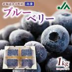 冷凍ブルーベリー 250g×4パック