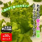 洗わずに食べられる ミックスリーフセット10個
