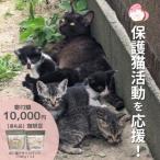 ふるさと納税 小郡市 珈琲 さくらねこサポートOGORI 保護猫活動を応援! コーヒー豆[No5354-0512]