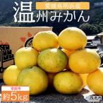 西宇和産 でん助みかん 温州みかん 5kg