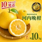 河内晩柑 9kg