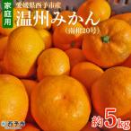 ふるさと納税 西予市 愛媛県西予市産　温州みかん (南柑20号)　家庭用5kg