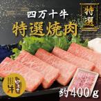 四万十牛特選焼肉 約400g