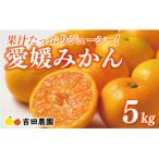愛媛みかん 5kg
