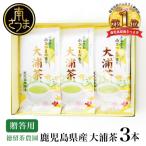 緑茶 大浦茶 一番茶 3本セット 100g×3