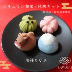 ナチュラル和菓子体験キット こしあん D578