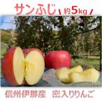 信州伊那産 りんご サンふじ 5kg