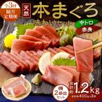 ふるさと納税 室戸市 【 定期便 全3回 隔月 お届け 】アイルランド産天然本まぐろ味わいセット