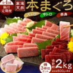 ふるさと納税 室戸市 【 定期便 全4回 隔月 お届け 】厳選天然本まぐろ大トロ・中トロ・赤身 お刺身用