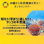 沖縄から自然環境を学ぶ サンゴの不思議