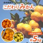森﨑農園のこだわりみかん 約5kg