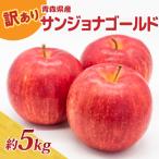 りんご 約5kg