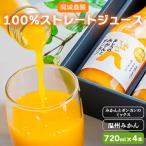 間城農園 100%ストレートジュース 720ml