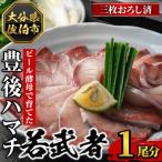 < 受付中 予定>豊後ハマチ