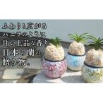 富貴蘭 風蘭 キラキラガラス入り D087