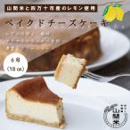 庭先レモンのさわやかベイクドチーズケーキ