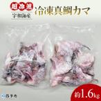 <異次元の鮮度 超冷薫 冷凍真鯛カマ