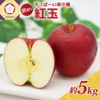紅玉 訳あり りんご 約5kg